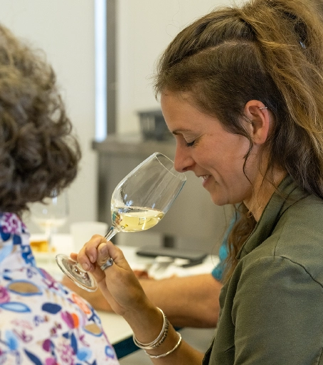 Formation sommellerie diplômante