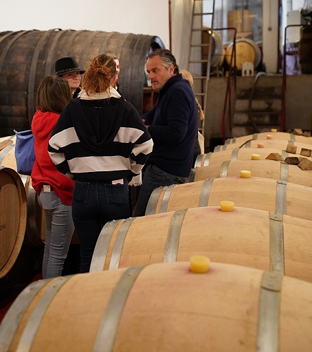 Formation sommellerie diplômante